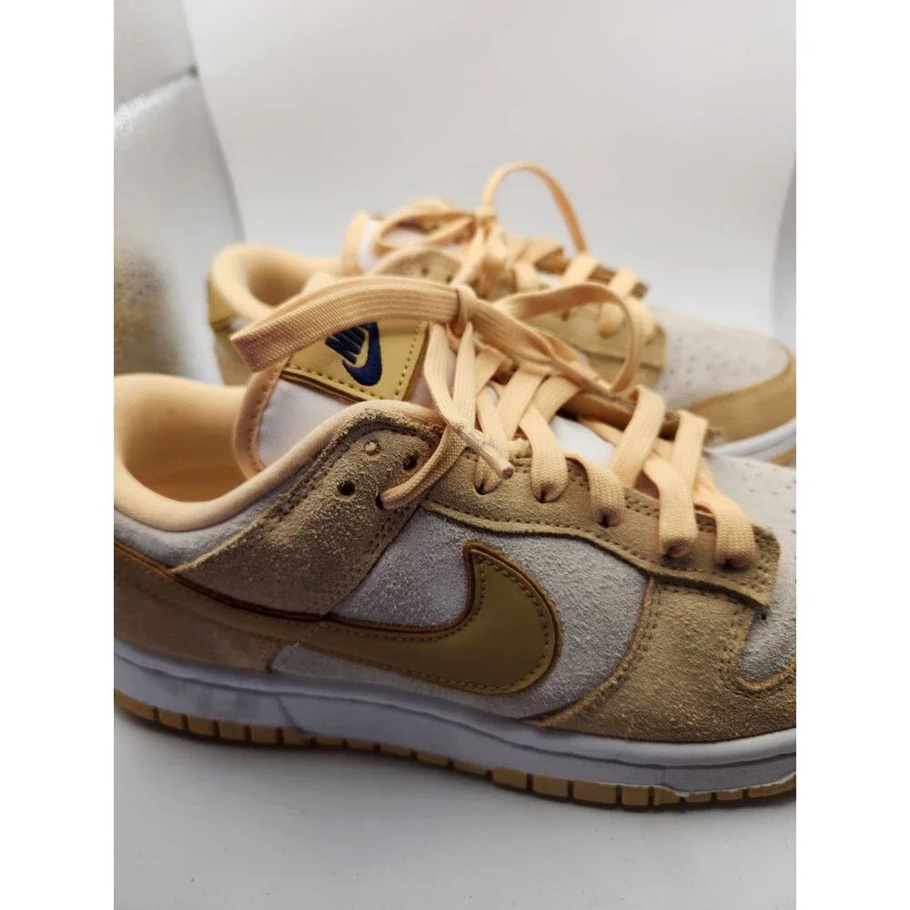Nike model dunk